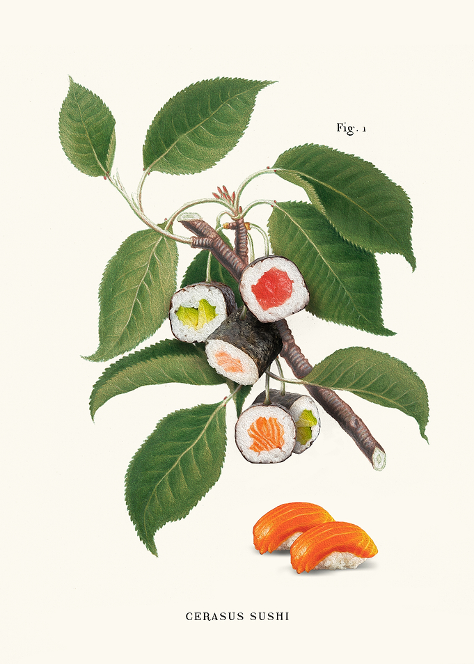 Sushi Plant