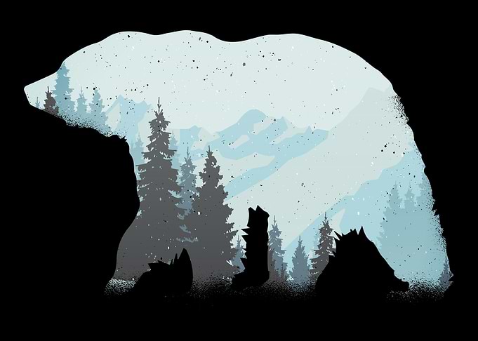 Bear Gift