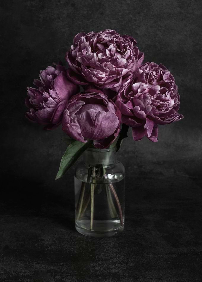 Pink Bouquet