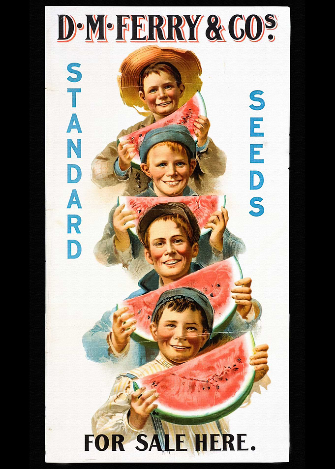 Sale Watermelon
