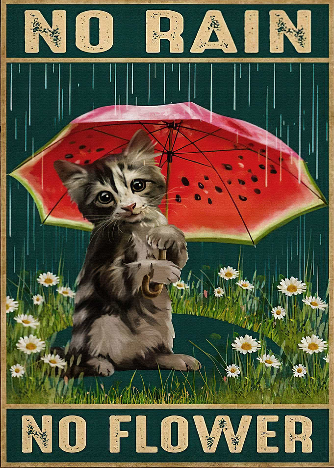 Cat Watermelon