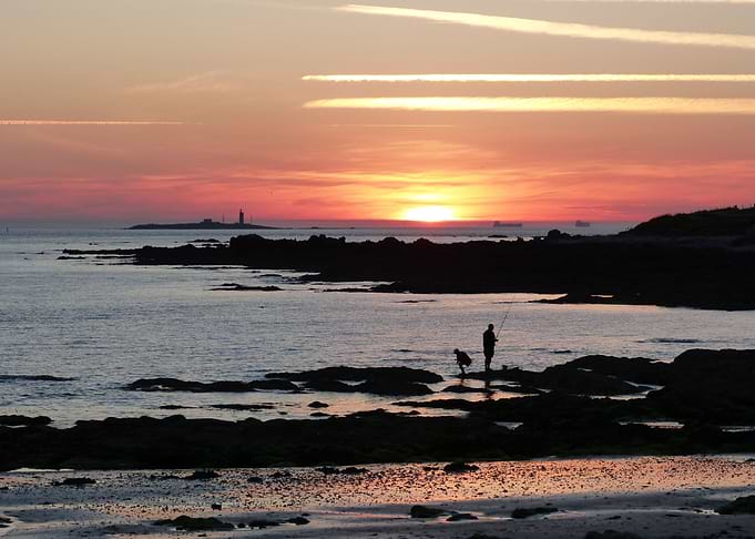 Noirmoutier landscape