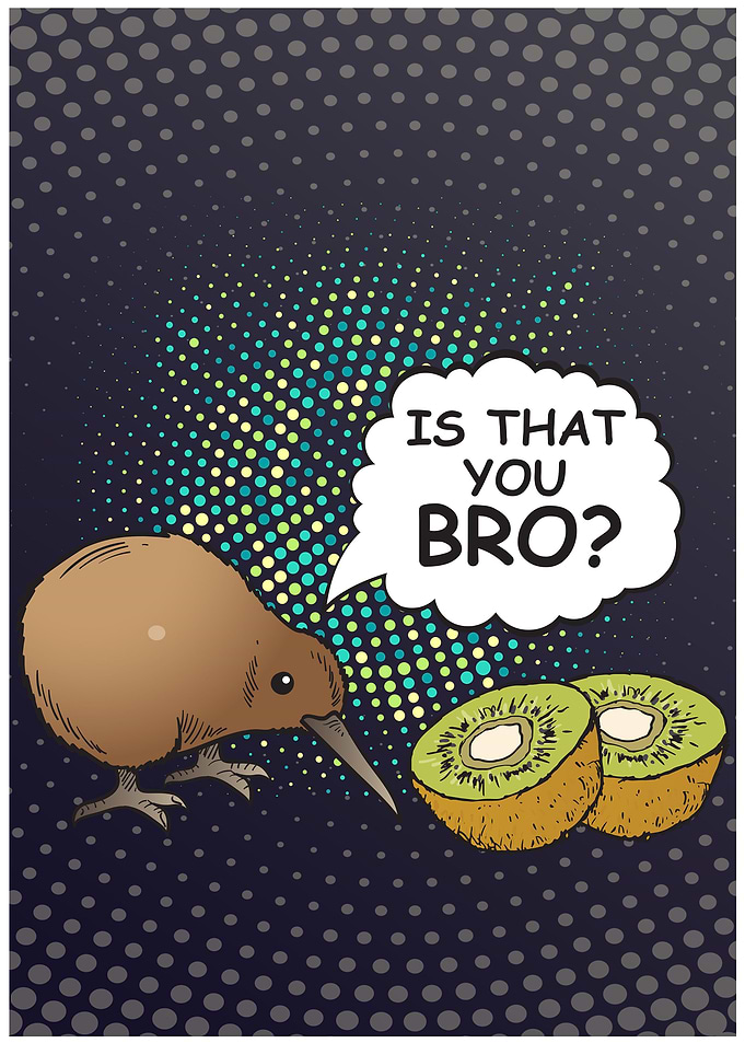 Kiwi New Zealand Bro