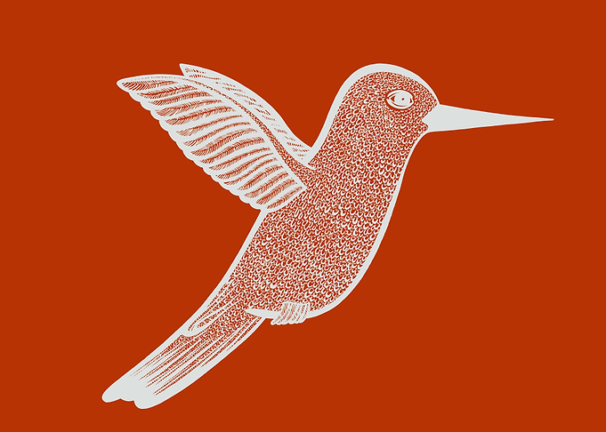 Hummingbird Line Drawing