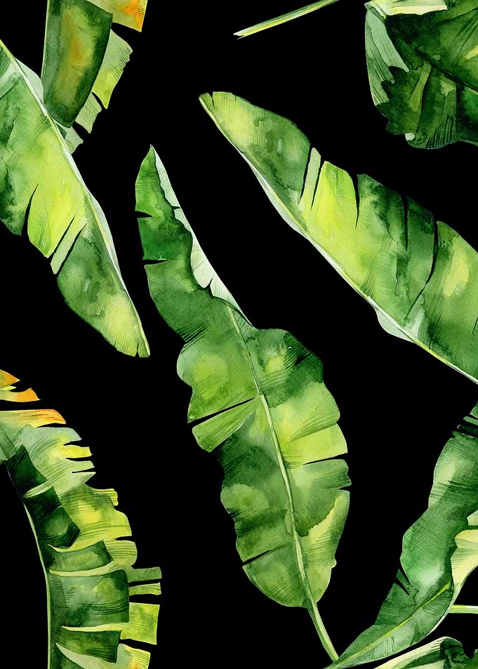 Black Watercolor Trop 03