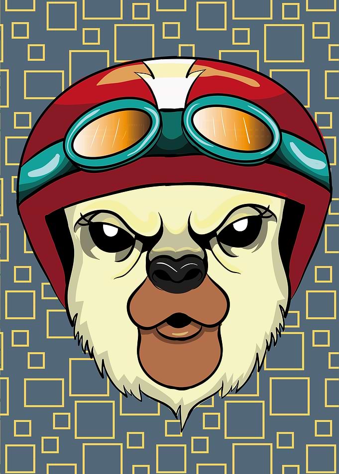 Llama Alpaca Rider