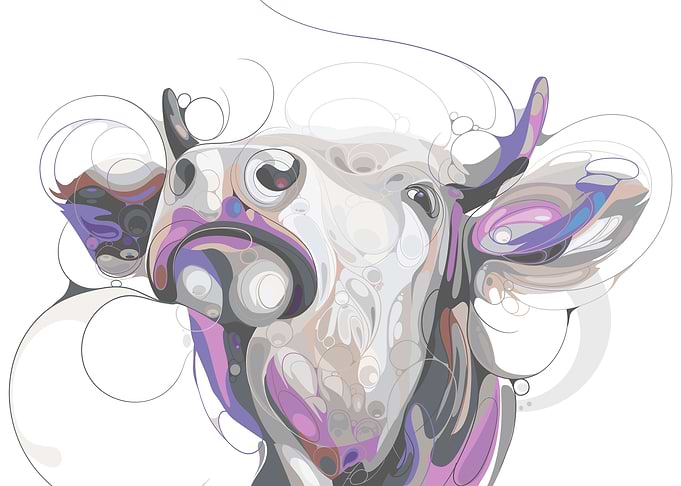 Cow