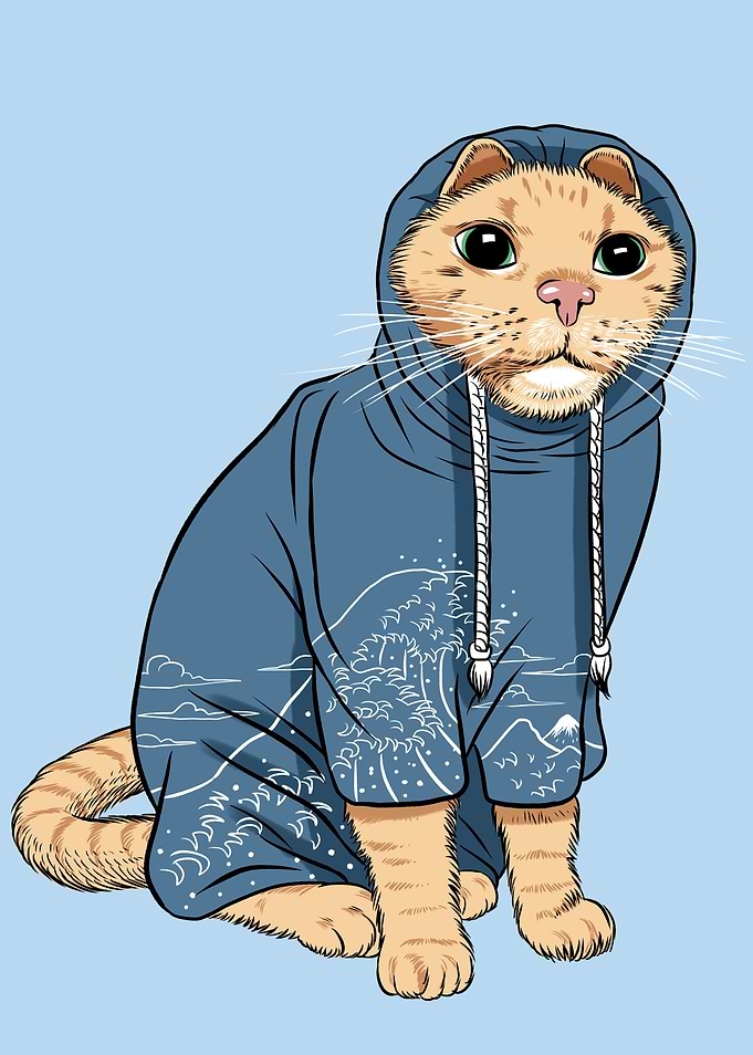 Cat with tracksuit
