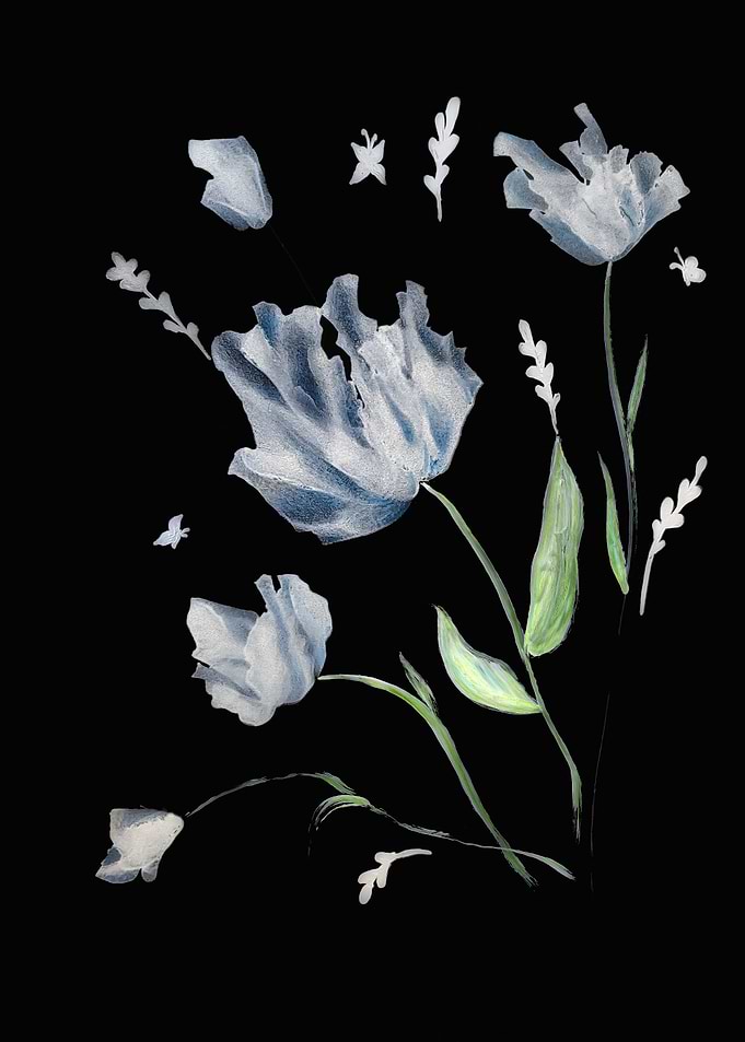 White meadow