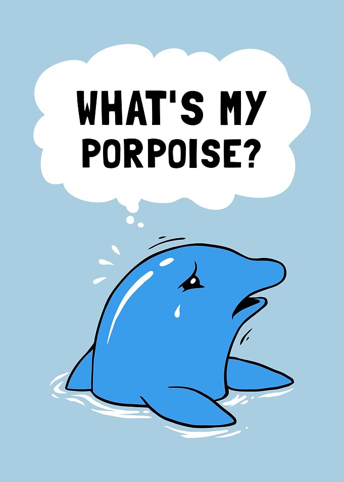 Whats My Porpoise