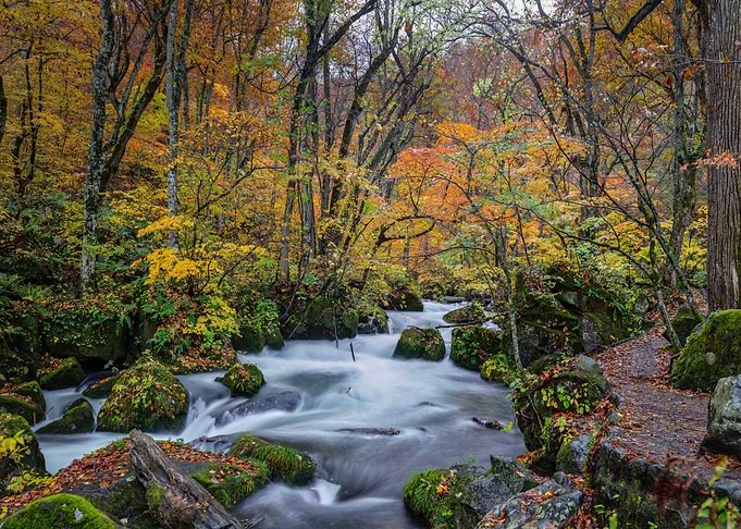 Japanese Autumns