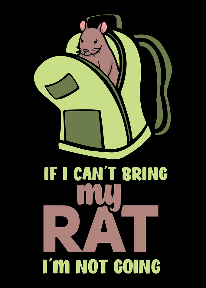 Rats Rat Lover Rodent