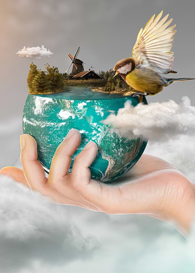 Fantasy Planet