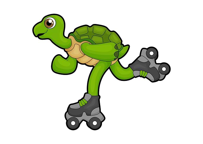 Turtle Roller skate Sports