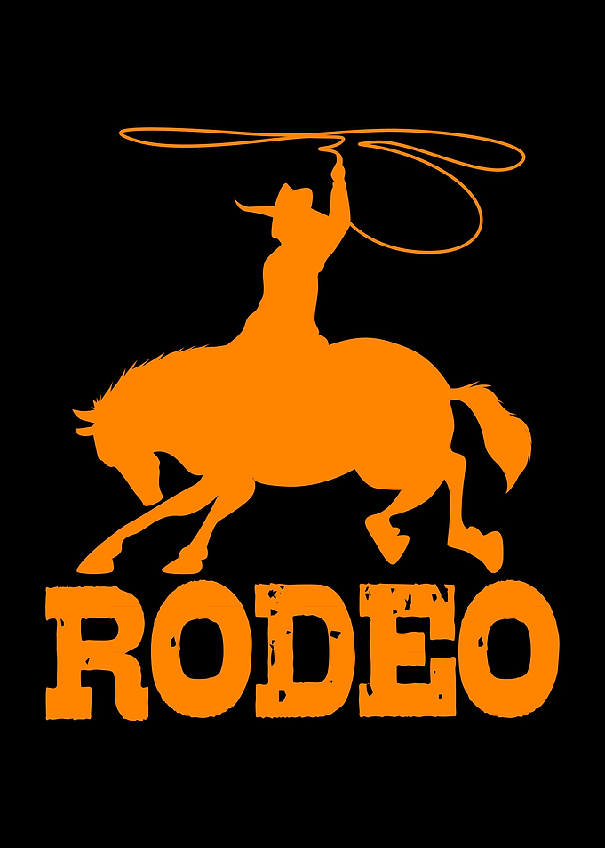 Rodeo Time