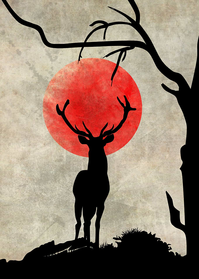 Animal Moon