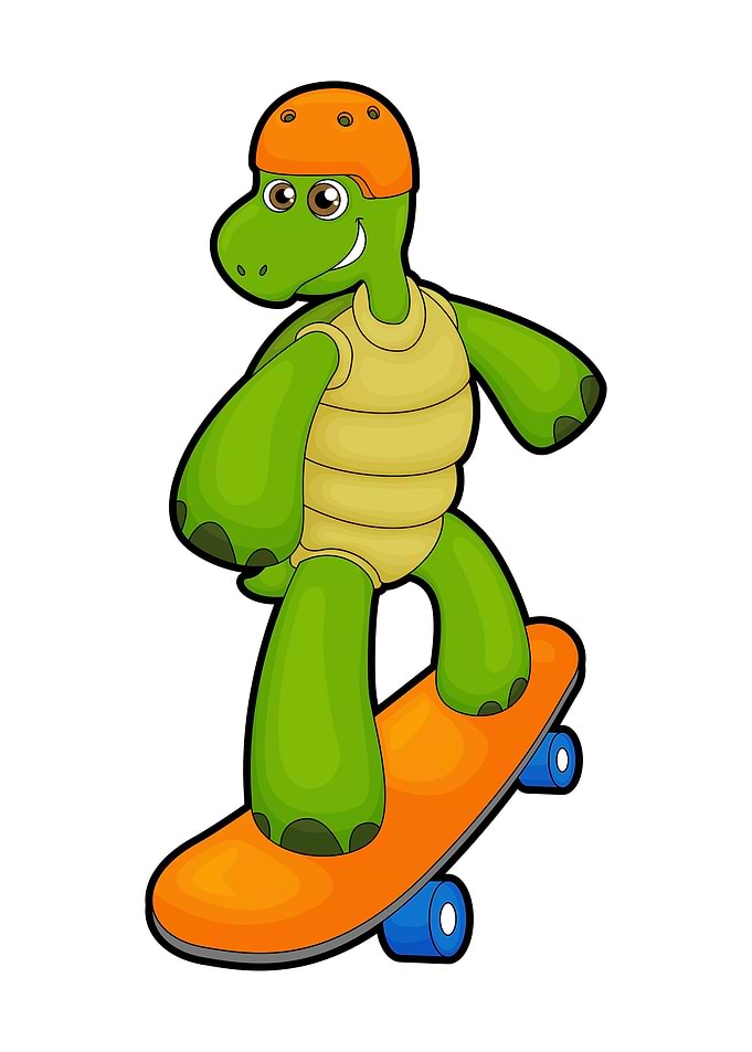 Turtle Skater Skateboard