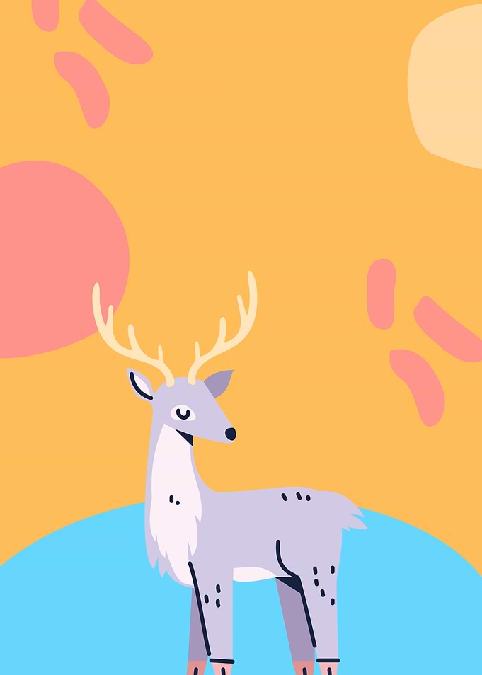Grey Deer
