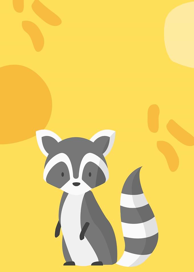 Raccoon