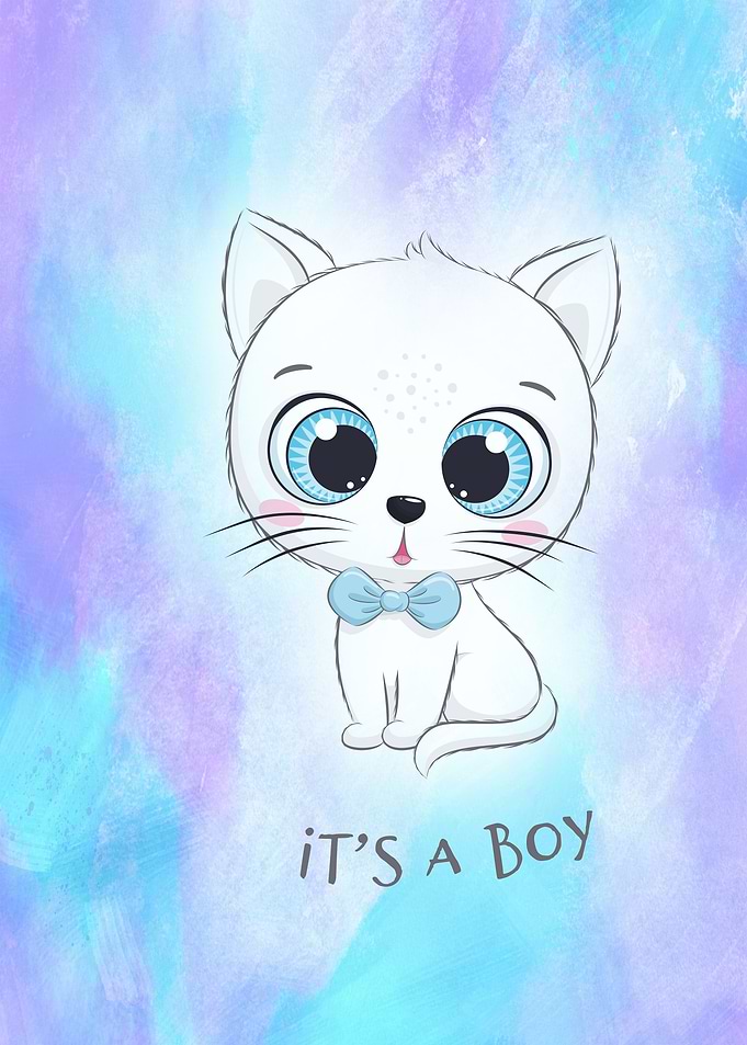 Its a boy