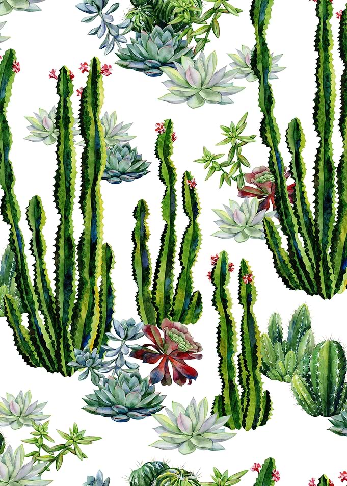 Watercolor Succulent 07