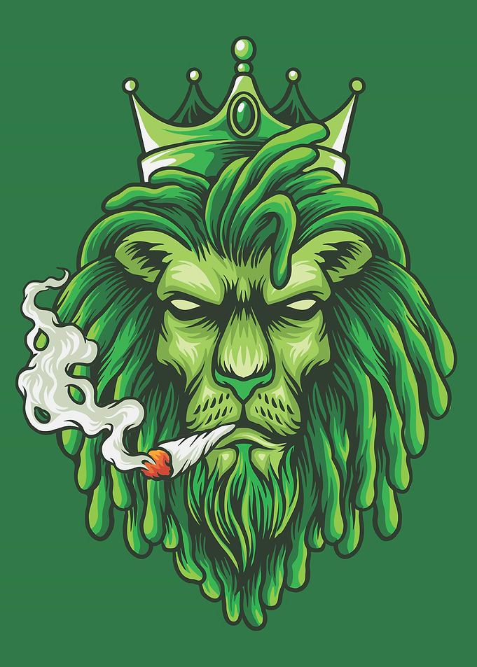 Lion King of the Jungle