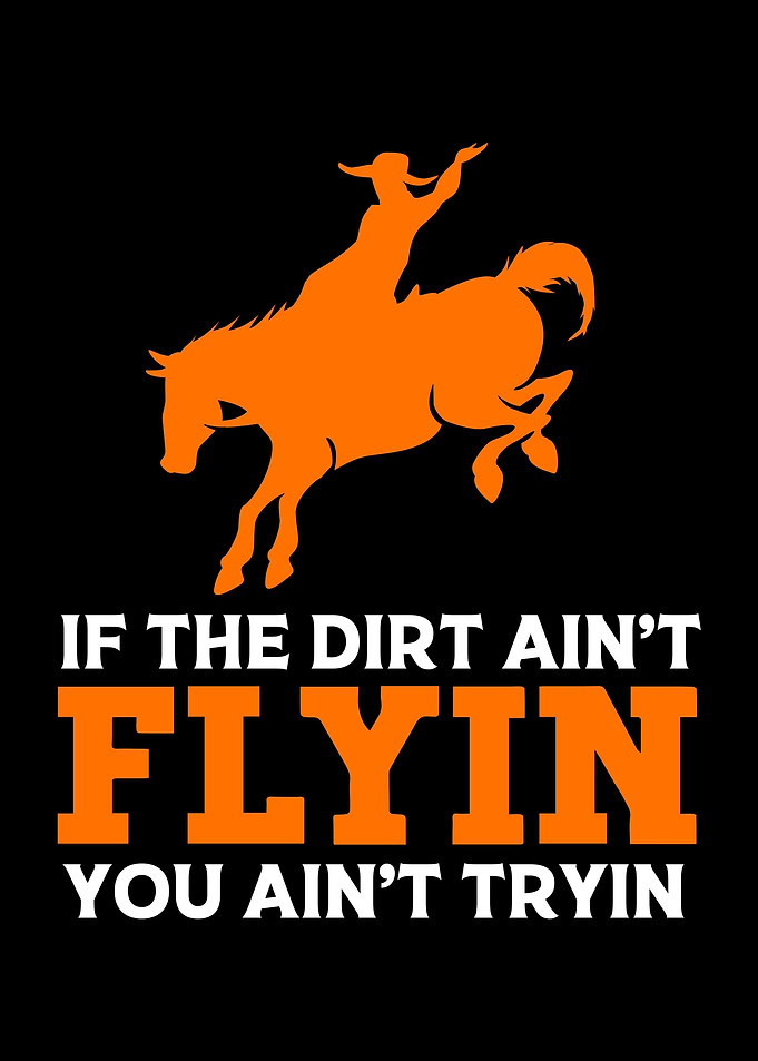 Rodeo Cowboy