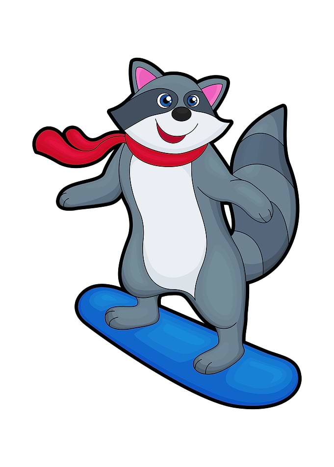 Racoon Snowboard Sports