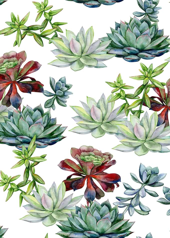 Watercolor Succulent 09