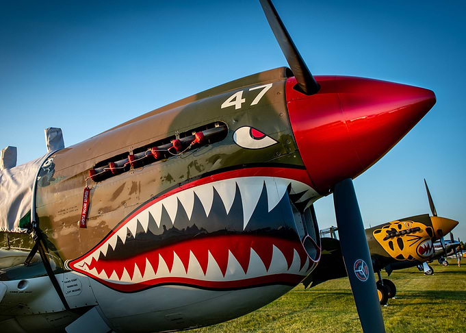 Decorated Aircraft