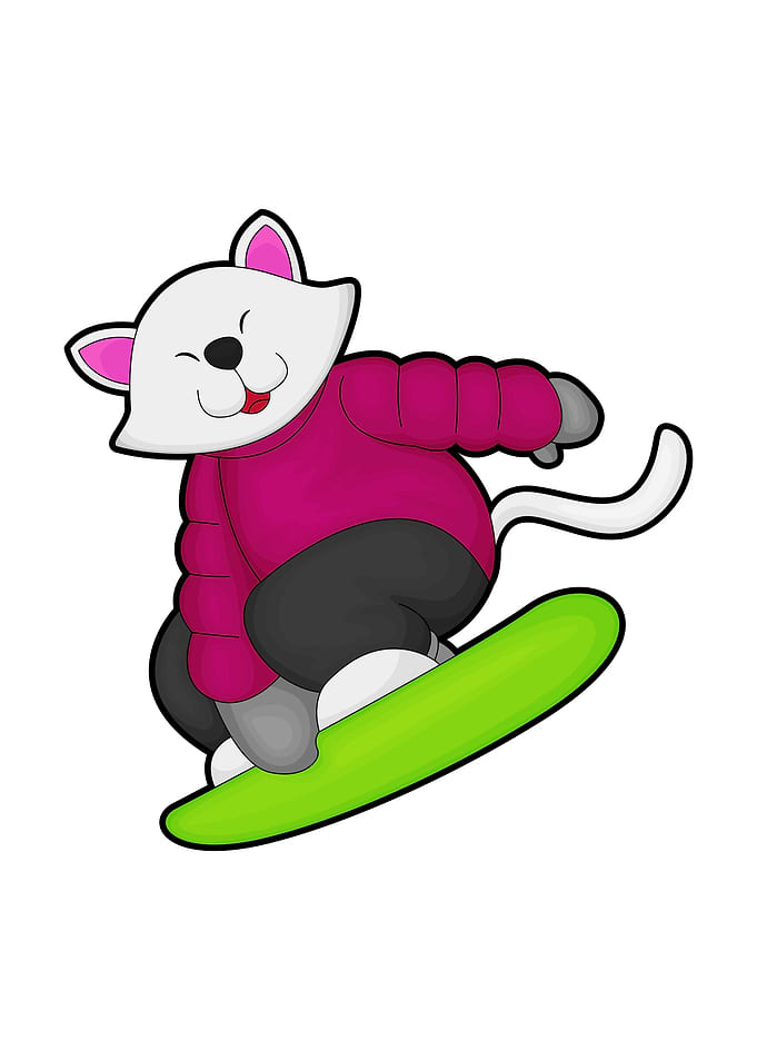 Cat Snowboard Sports