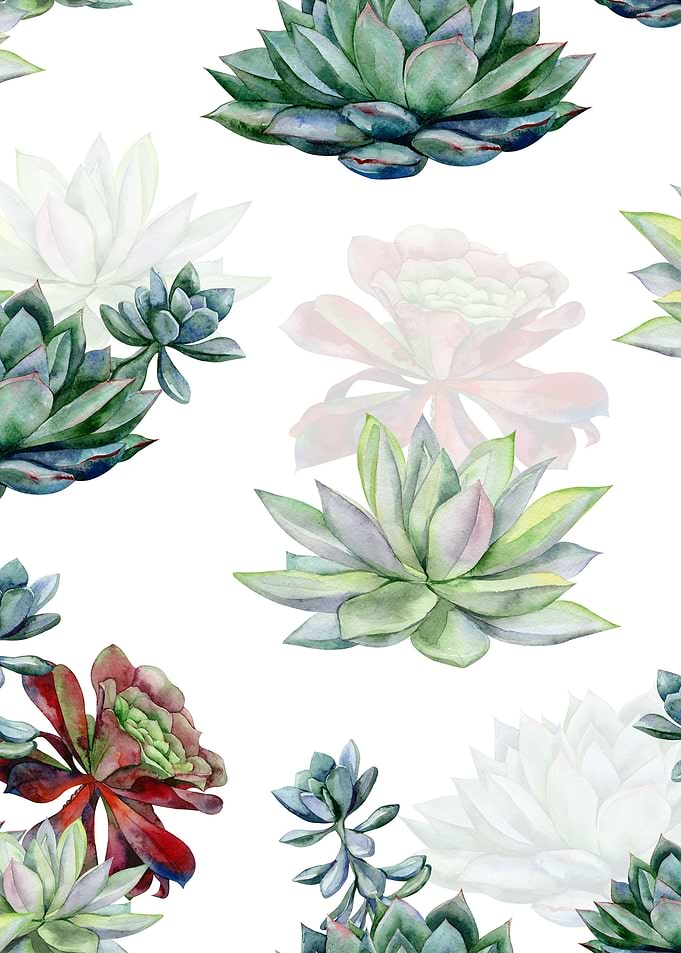 Watercolor Succulent 04