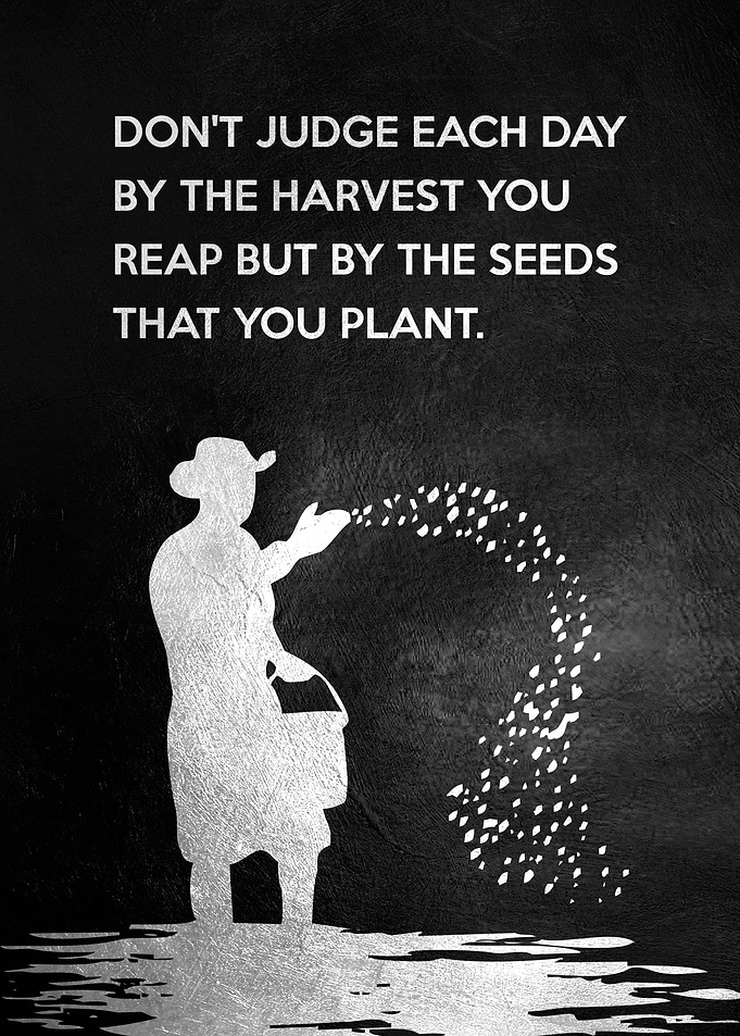 Just Sow the Seeds