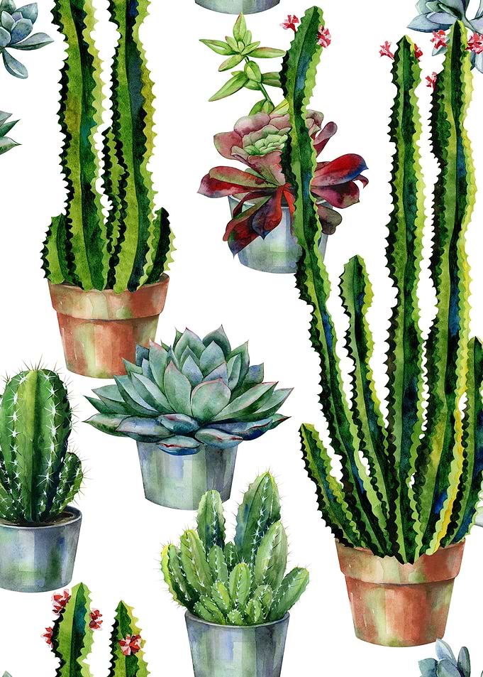Watercolor Succulent 08
