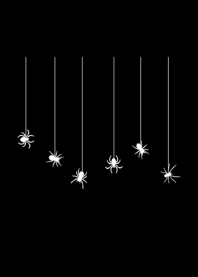 Spiders