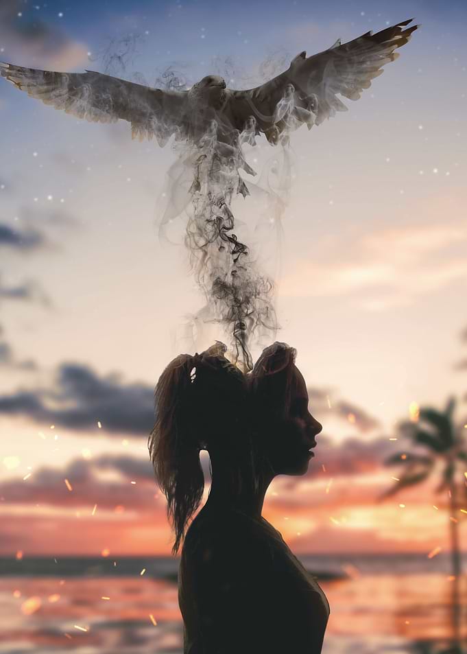 Bird Imagination