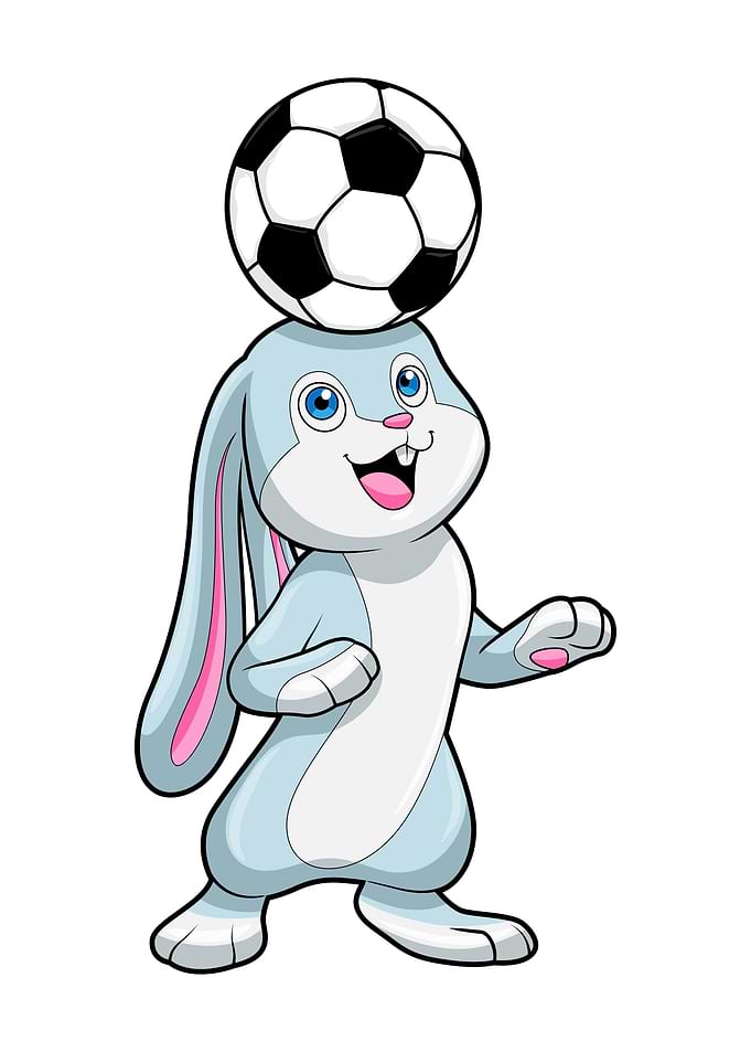 Rabbit Soccer Sports