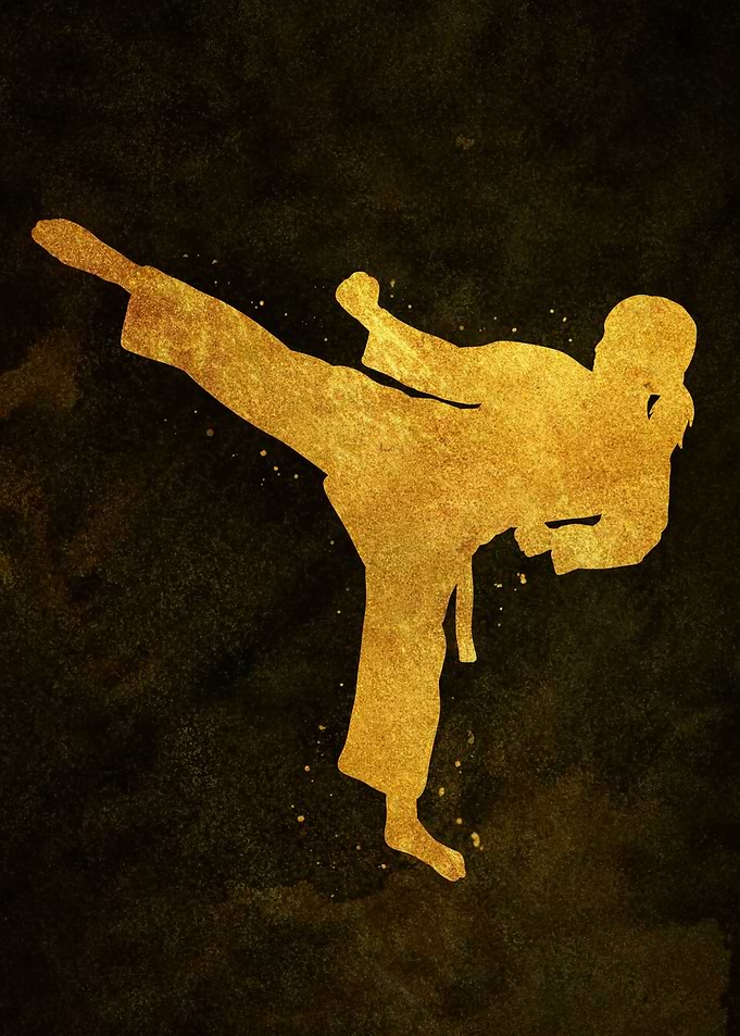 Taekwondo girl kick