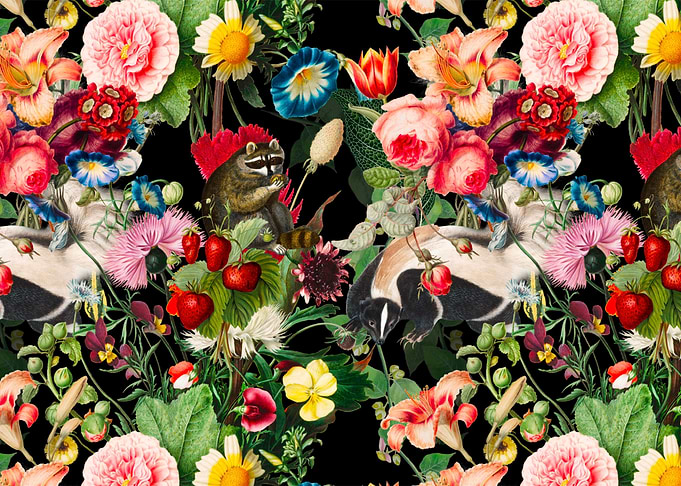 Animals raccoon skunk art