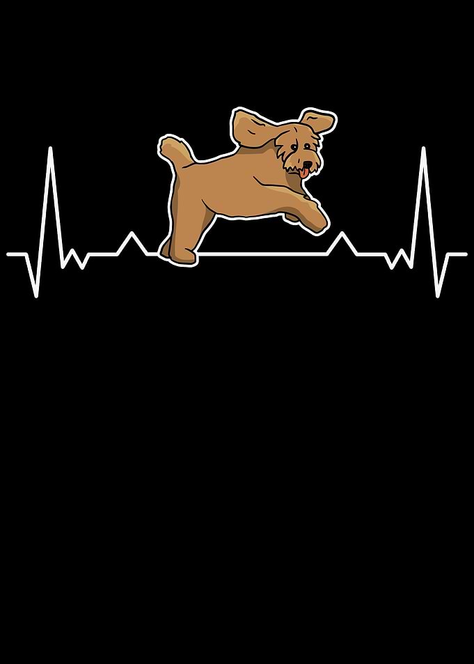 Labradoodle Heartbeat