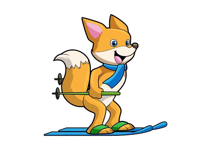 Fox Ski Skier Ski poles