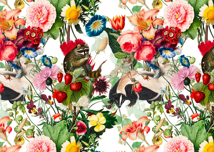 Raccoon skunk animals art