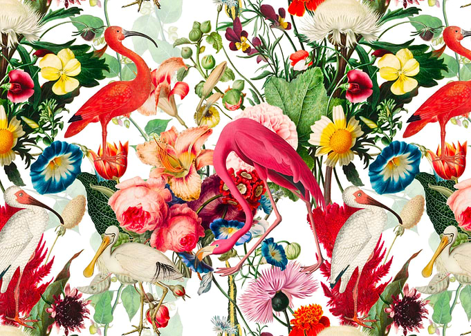 Tropical birds Flamingo