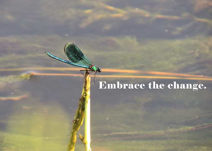 Embrace the Change Photo