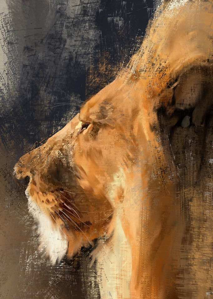 Lion in Sun