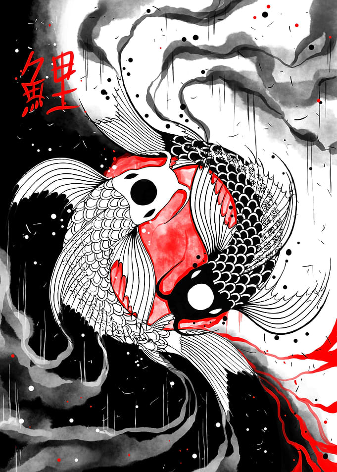 Koi Fish