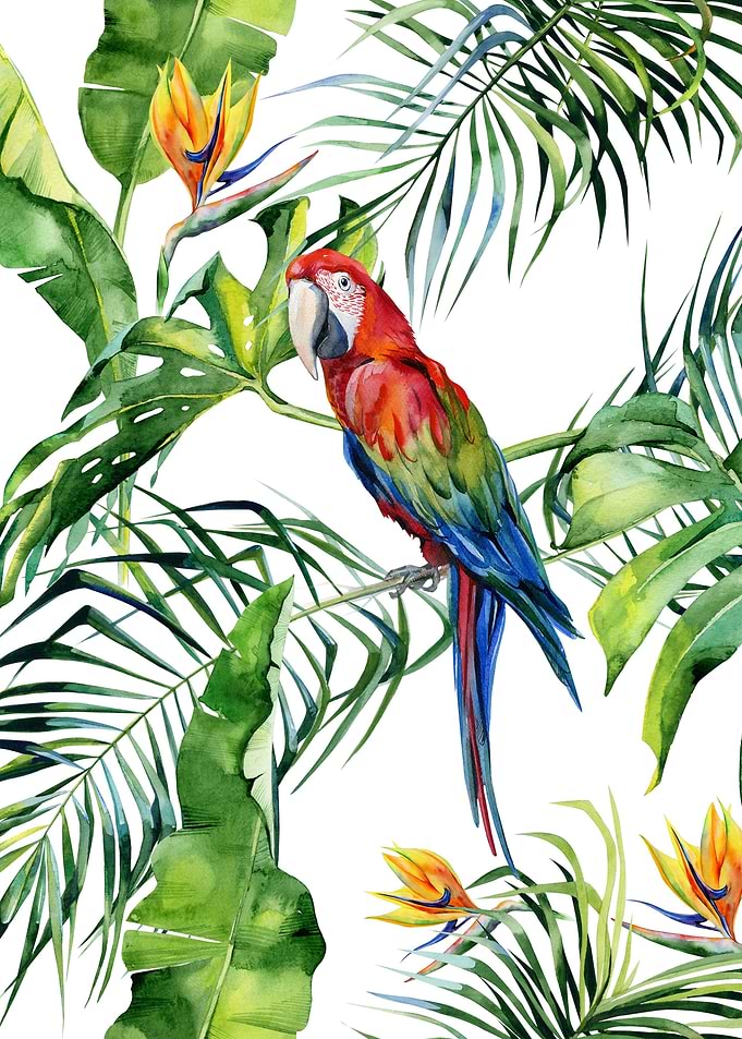Watercolor Tropical Pat 16