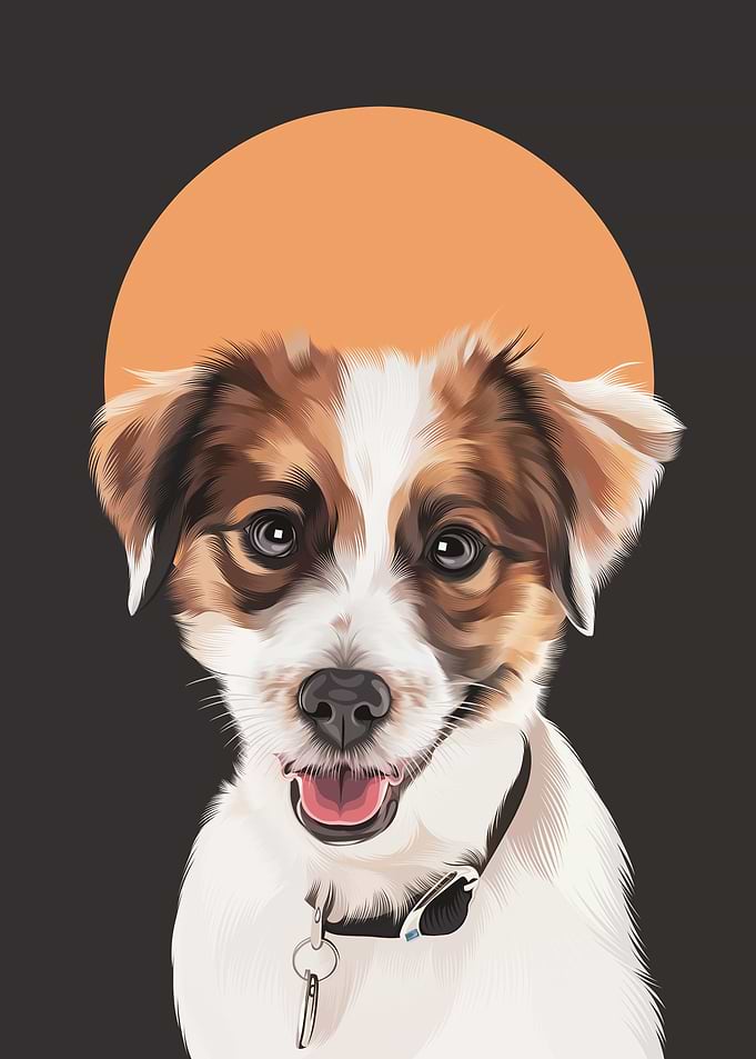 Dog 101