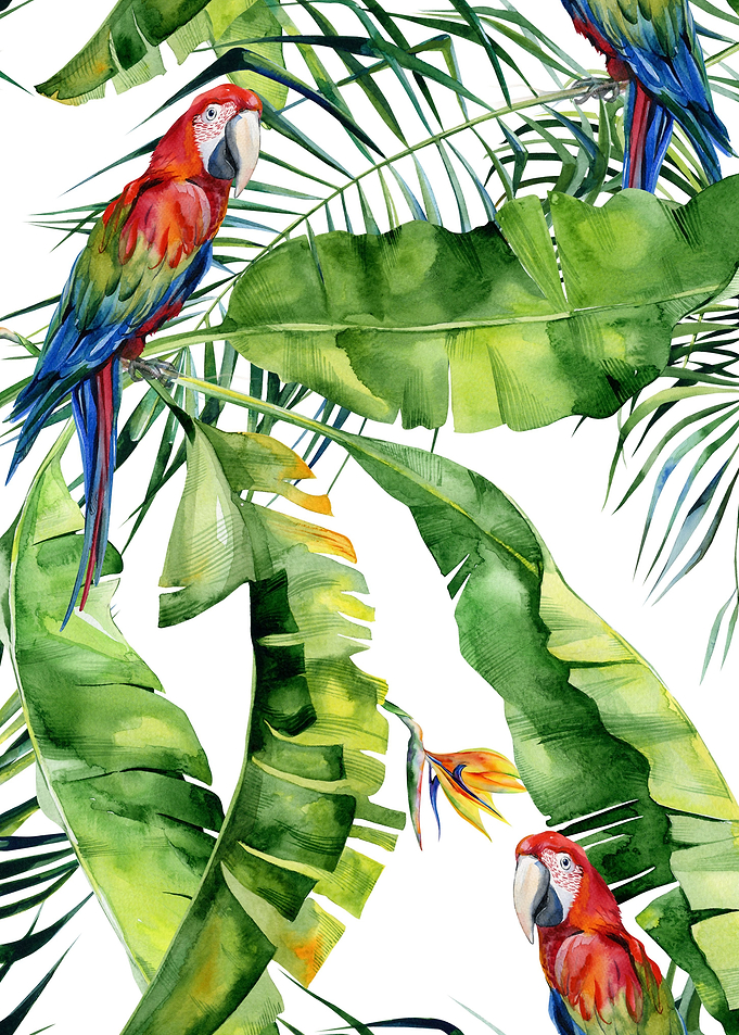 Watercolor Tropical Pat 17