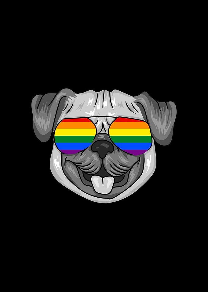 Lgbt Pug Sunglases